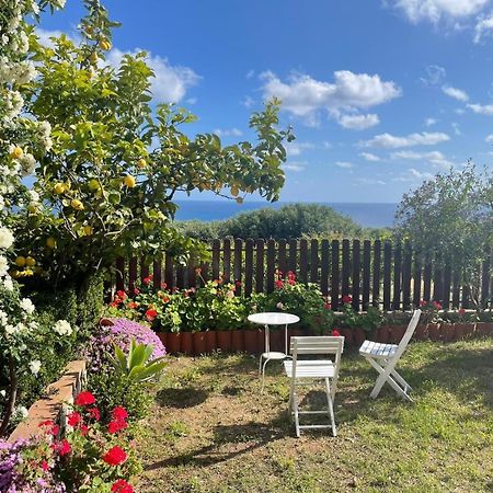Appartamento Lavigna Marina di Camerota Bagian luar foto